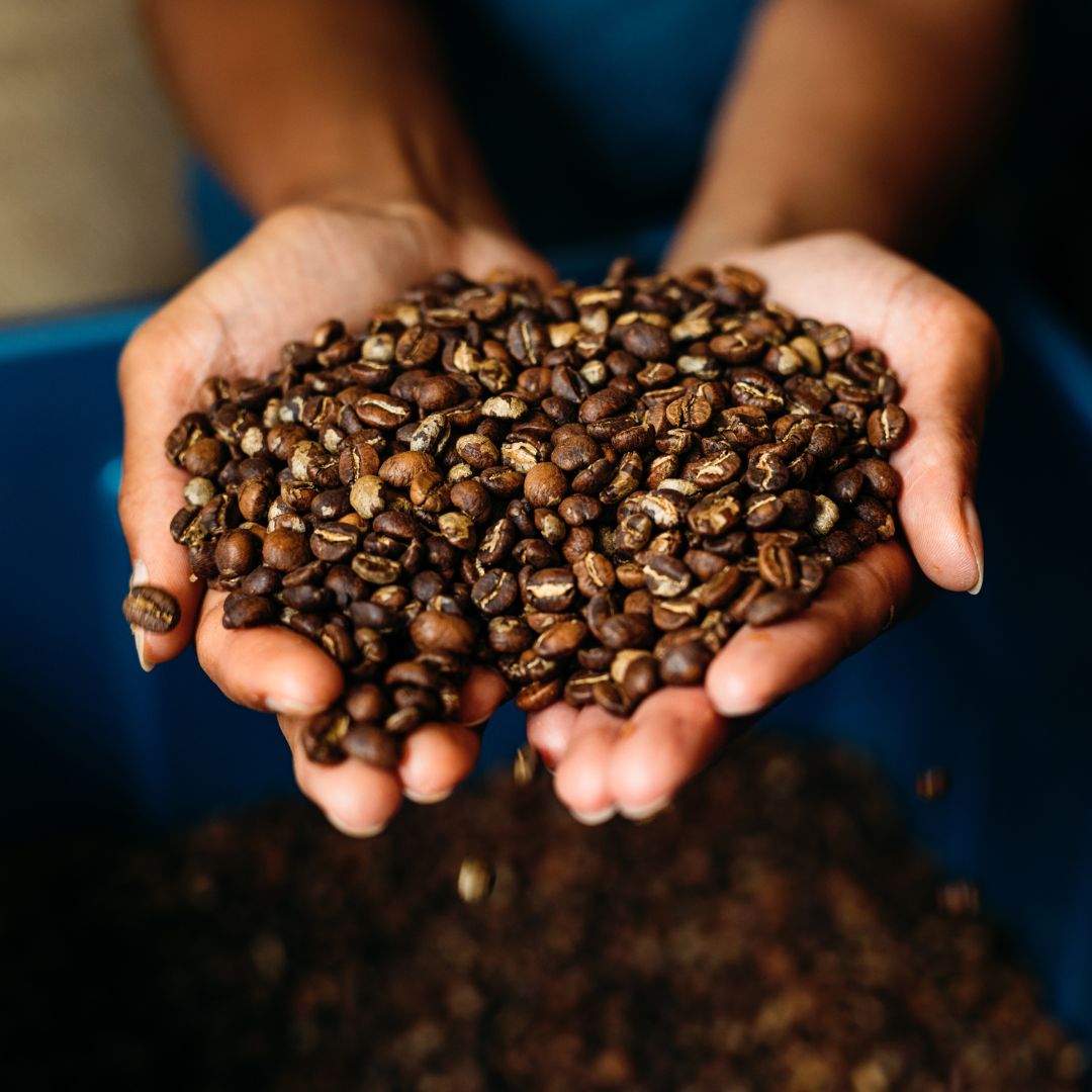 Bulk Roasted Coffee & White Label Roasting